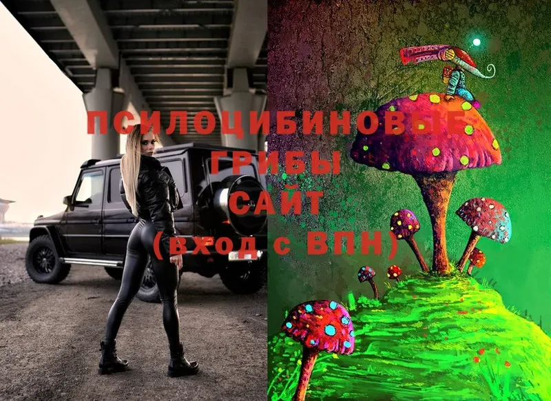 Псилоцибиновые грибы Cubensis  Новоуральск 